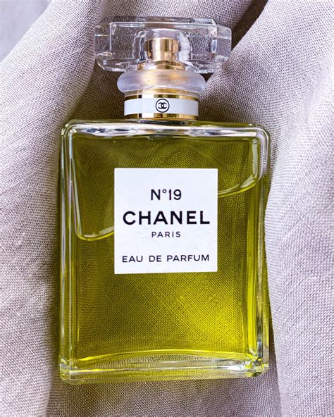 fragrantica chanel 19|chanel 19 perfume price.